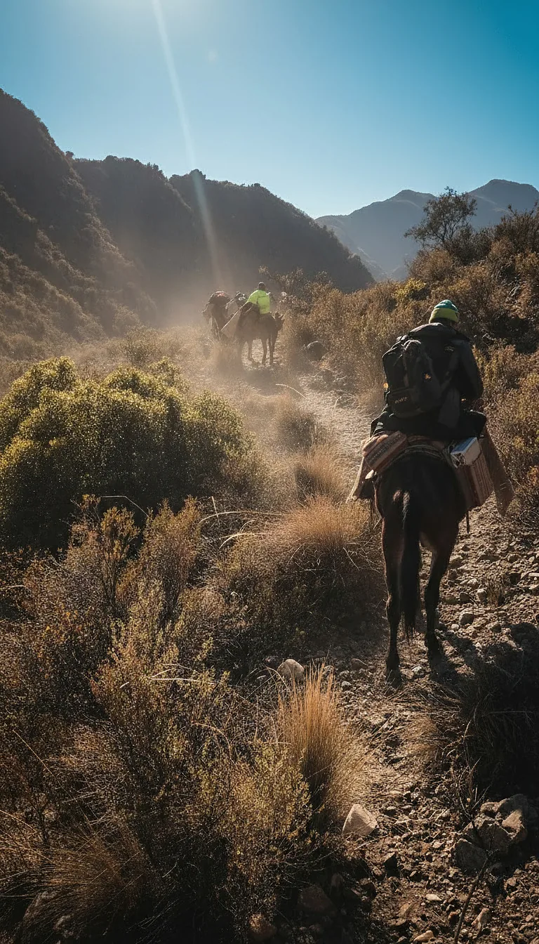 galería backstage 7