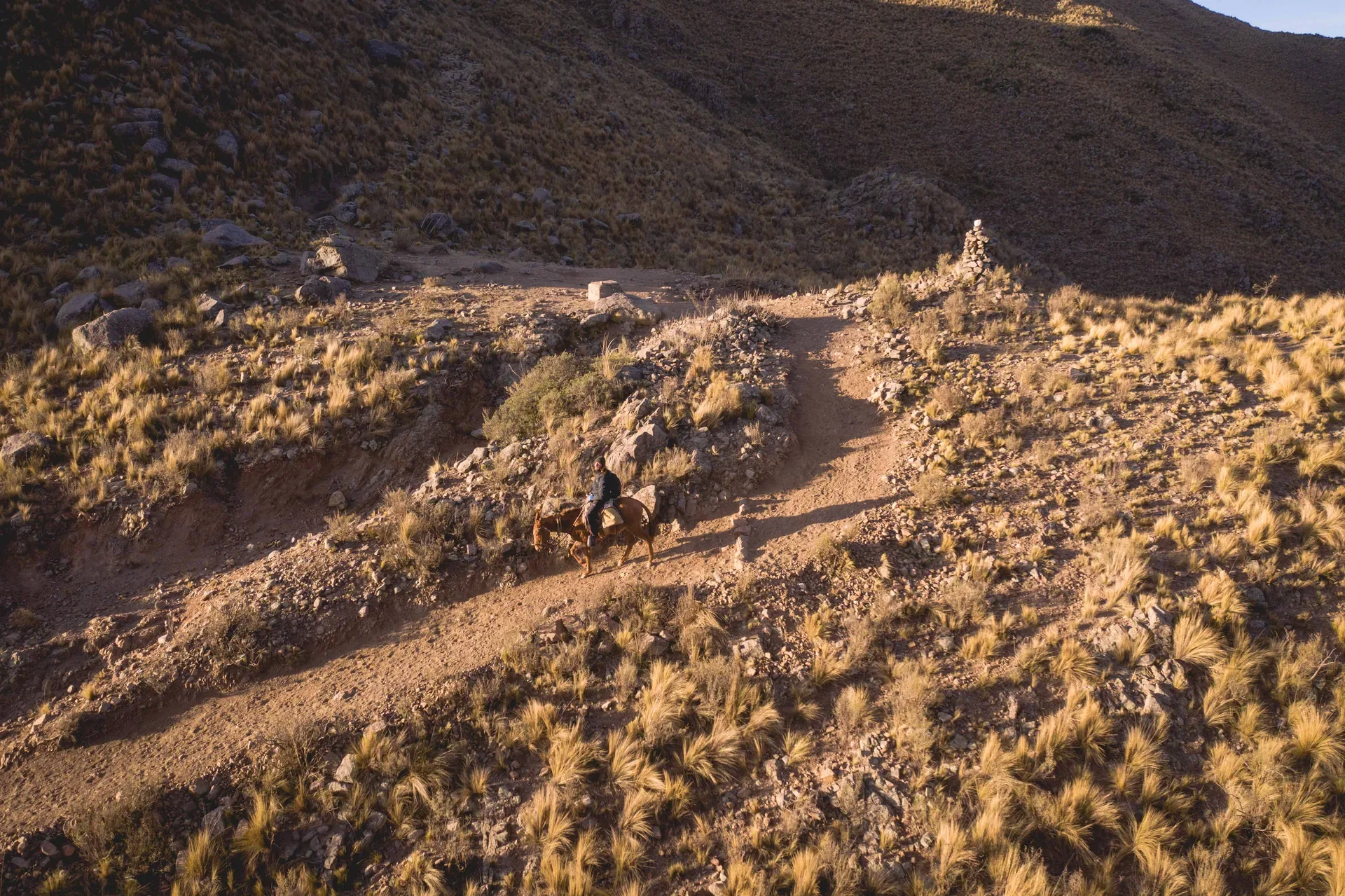 galería backstage 26