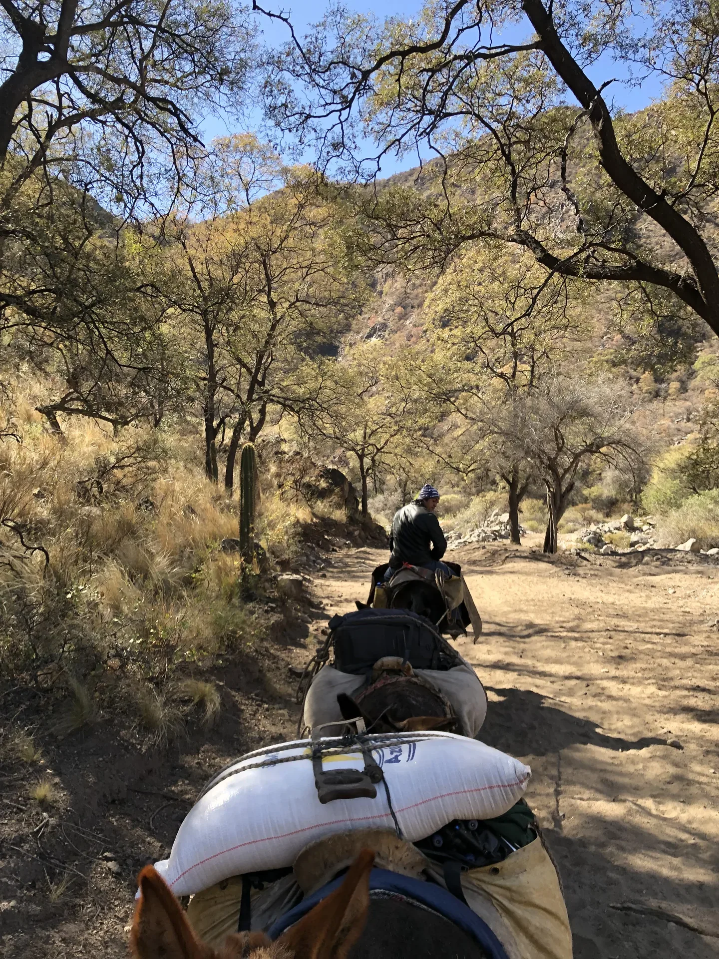 galería backstage 27