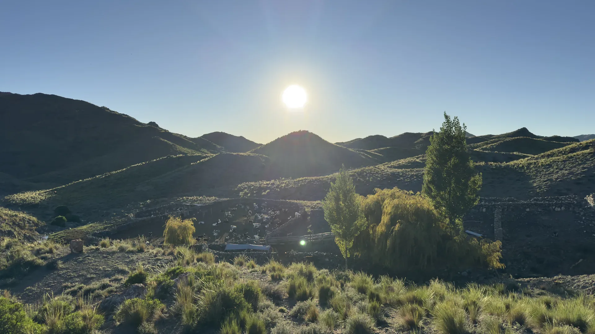 galería backstage 32