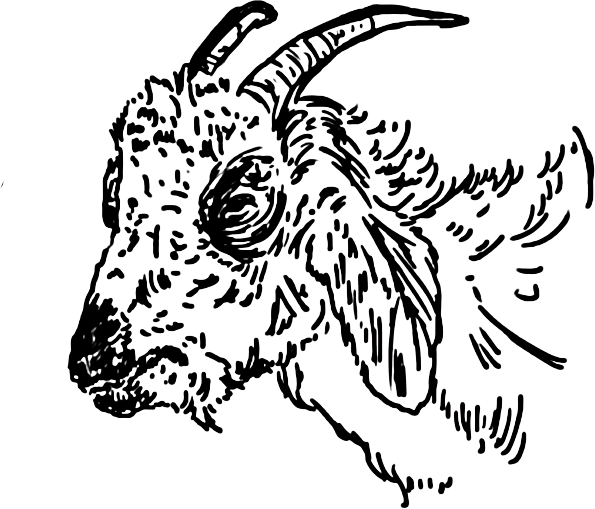 Ilustración GOAT